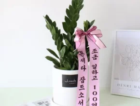 추천 가성비 집들이금전수