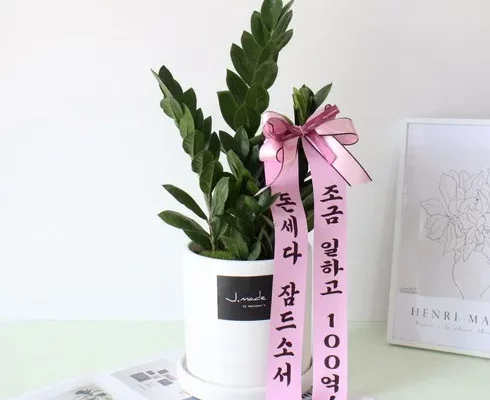 추천 가성비 집들이금전수