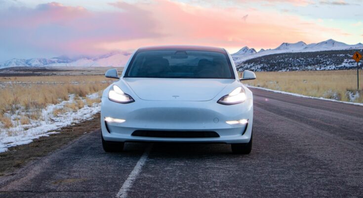 YZ For Tesla Model Y RWD 2021-23 자동차 트렁크 사이드 보관함 중공 커버 주최자 몰려 들고 매트 파티션 보드 보관하기