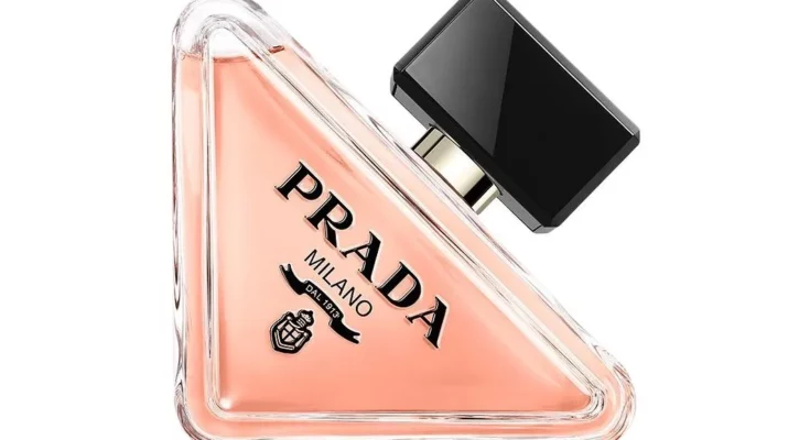 파라독스 오 드 퍼퓸: 오리엔탈 플로럴 향으로 완성하는 당신의 우아함