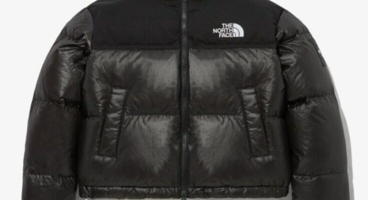 스타일과 보온성을 동시에! 노스페이스 패딩 최신 추천템