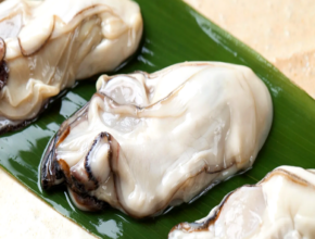 싱싱한 제철 굴, 지금이 딱! 겨울 바다의 맛을 담은 생굴 추천