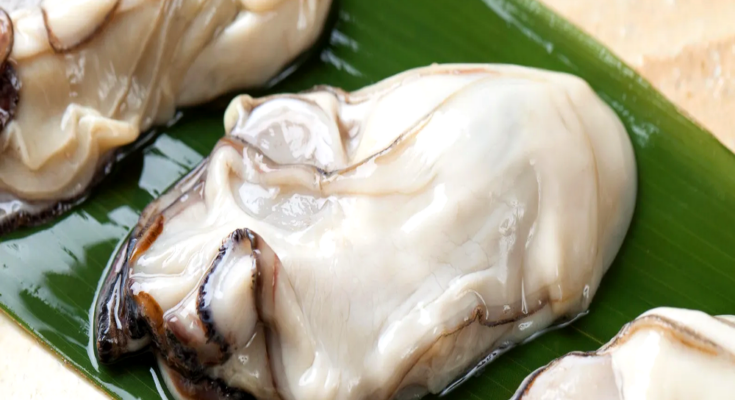 싱싱한 제철 굴, 지금이 딱! 겨울 바다의 맛을 담은 생굴 추천