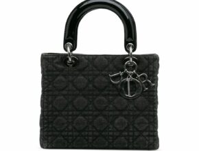 고급스러움은 그대로! 크리스찬 디올 중고 백, 현명한 선택 가이드