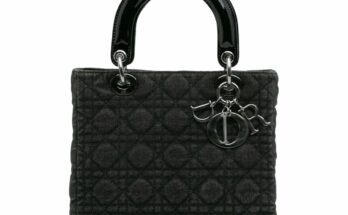 고급스러움은 그대로! 크리스찬 디올 중고 백, 현명한 선택 가이드