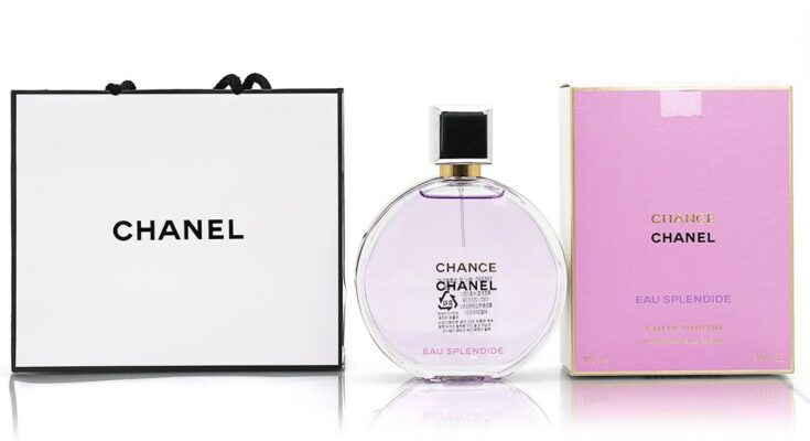 전문가 추천! 2025년 겨울, 당신의 취향을 저격할 샤넬 향수 컬렉션