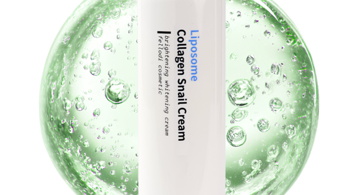 겨울철 필수템! 고보습 로션 & 크림으로 피부 장벽 강화하기